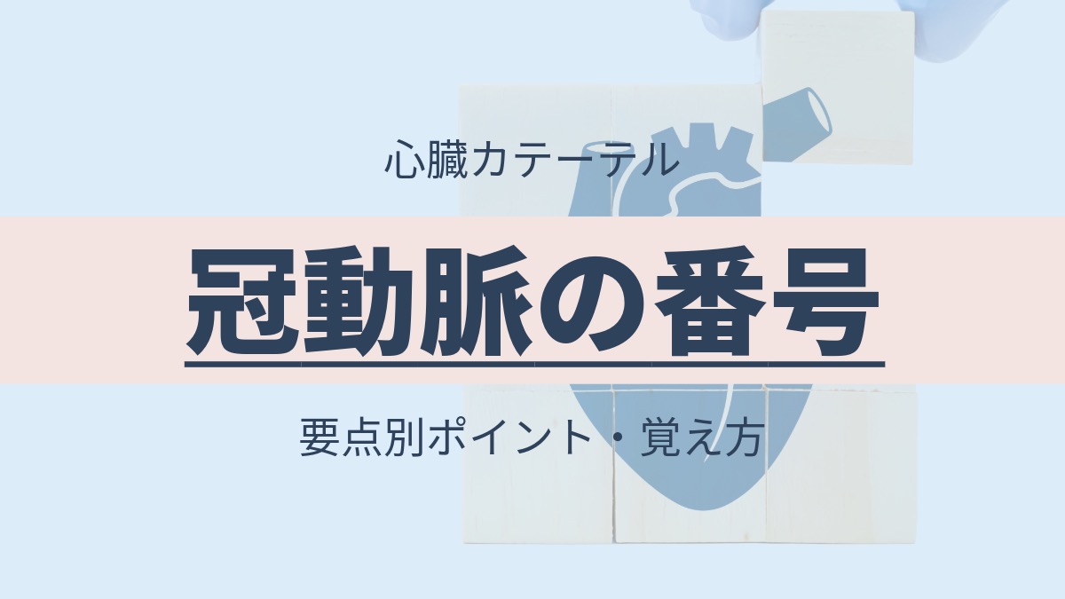 心カテを理解する — 冠動脈の番号・覚え方 — | CEじゃーなる